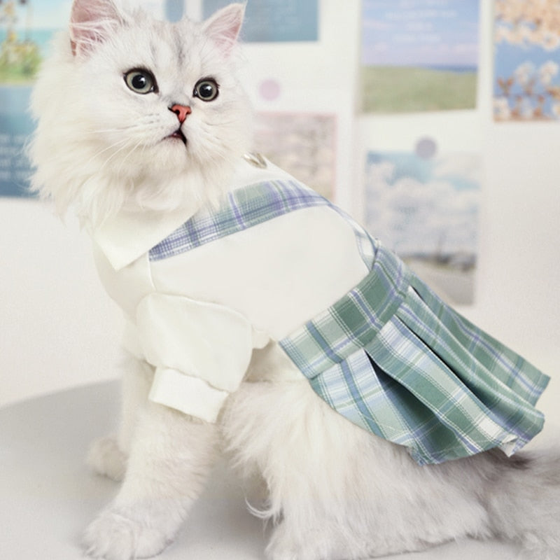 Cute Summer Clothes for Cats