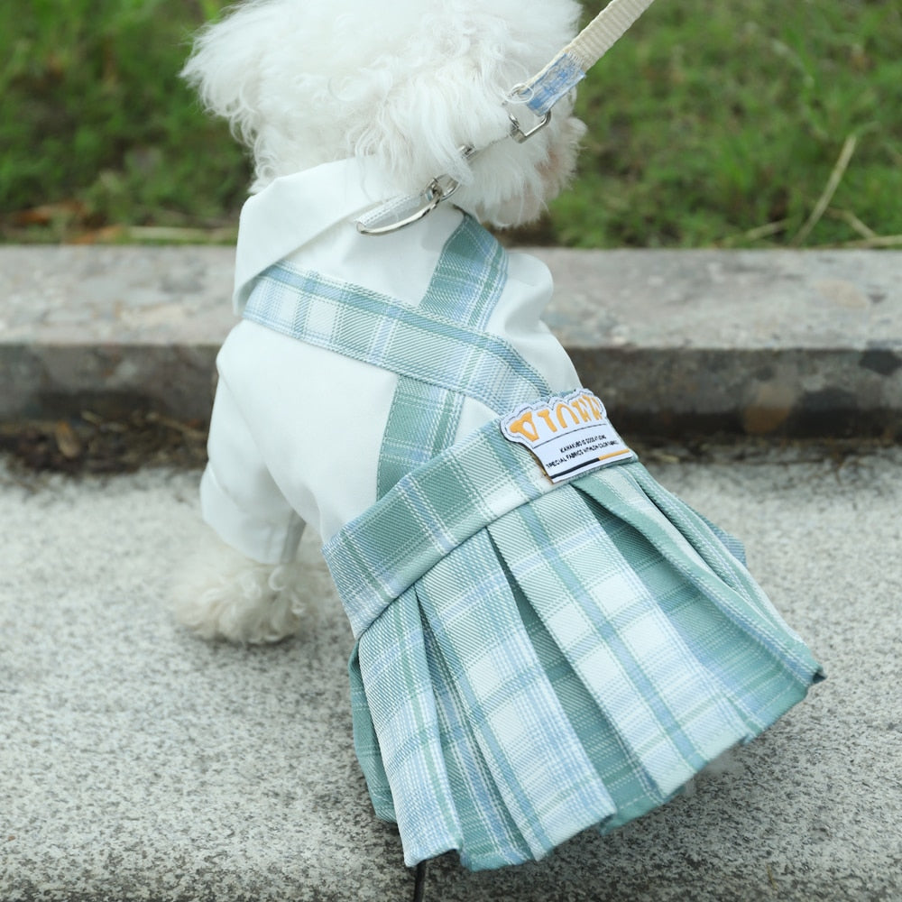 Cute Summer Clothes for Cats