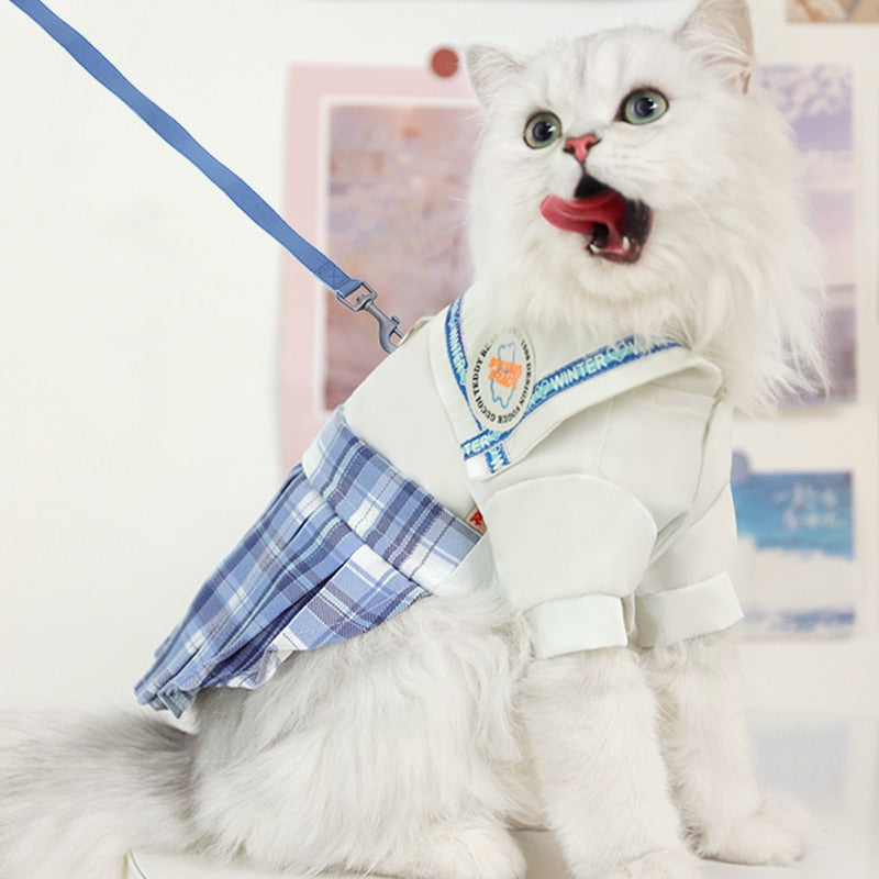 Cute Summer Clothes for Cats