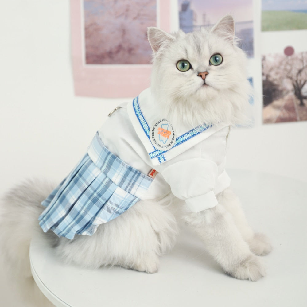 Cute Summer Clothes for Cats