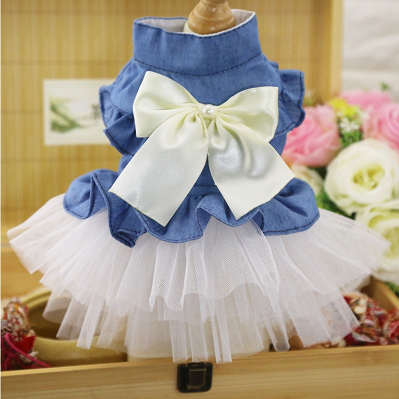 Denim Cat Dress
