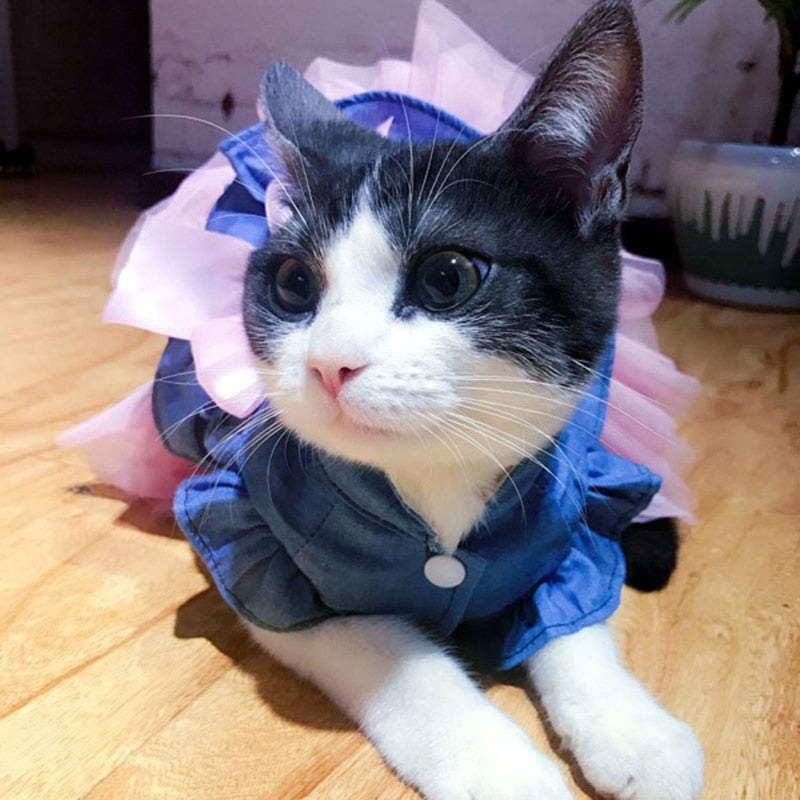 Denim Cat Dress