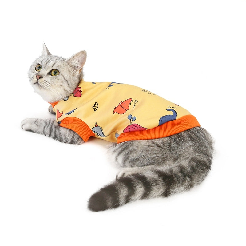 Dinosaur Clothes for Cats