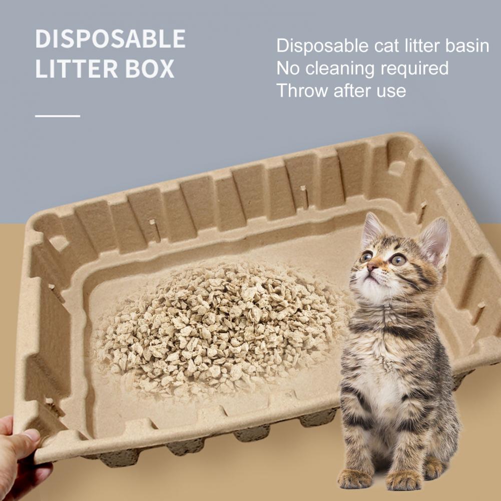 Disposable Cat Litter Box
