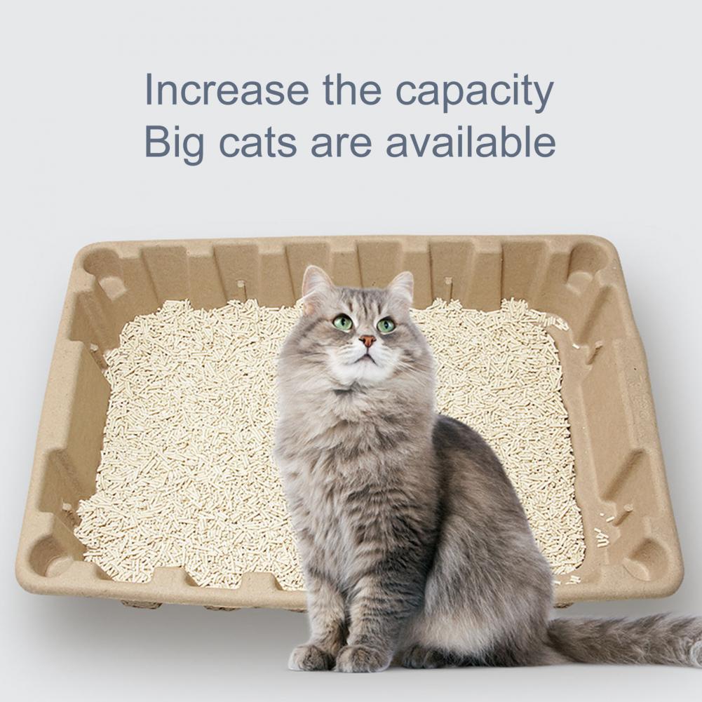 Disposable Cat Litter Box