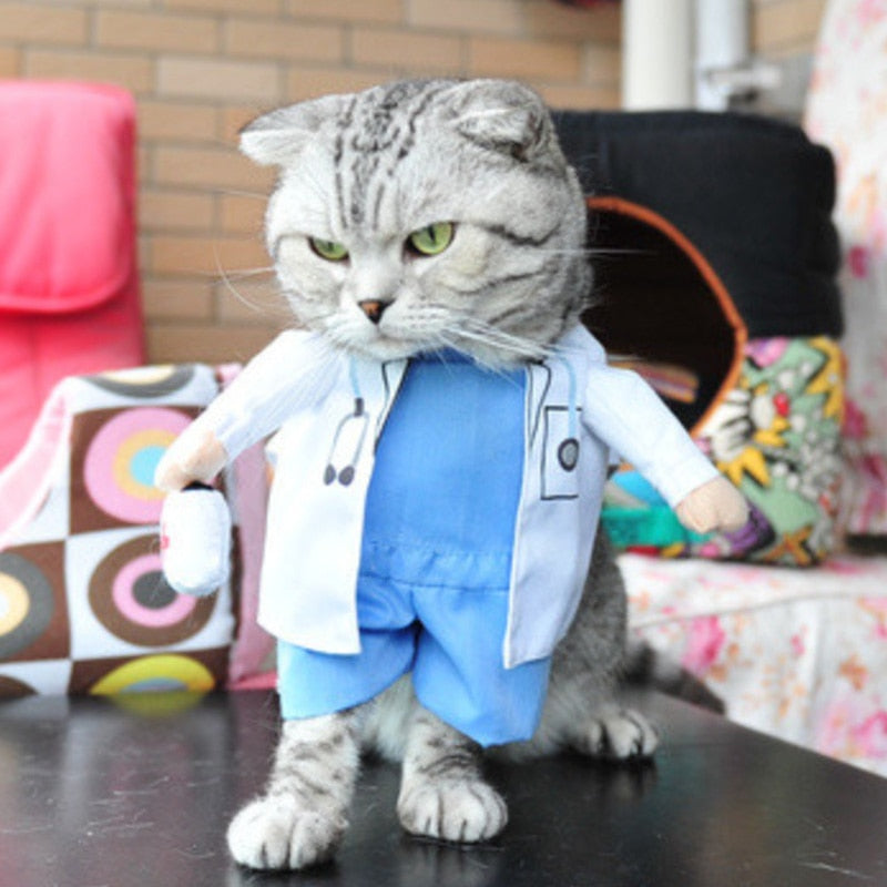 Doctor Costume for Cats