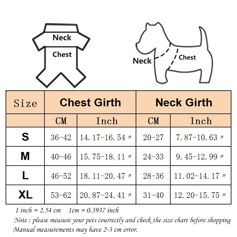 Doctor Costume for Cats
