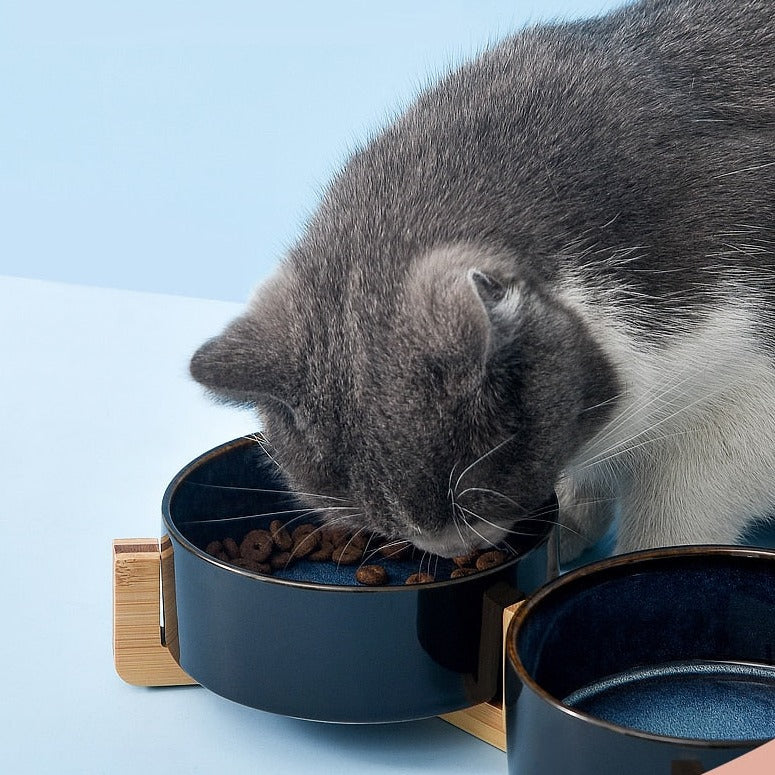 Double Cat Bowl