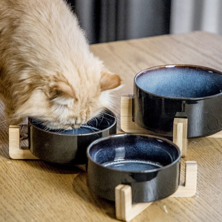 Double Cat Bowl