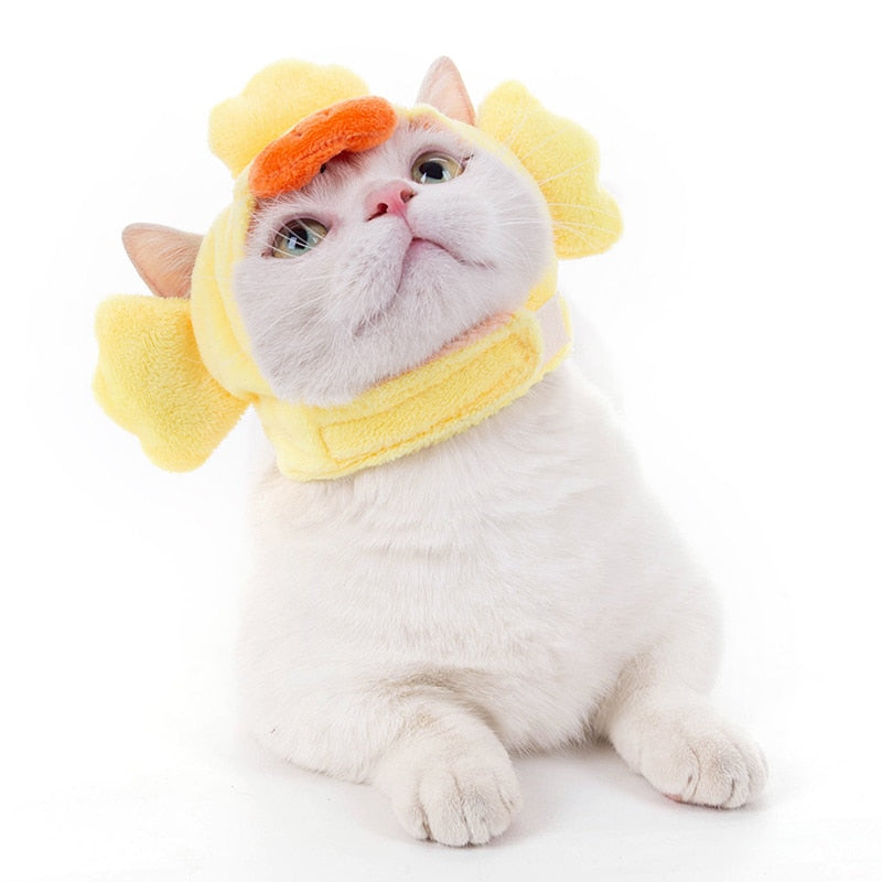 Duck Hat for Cat