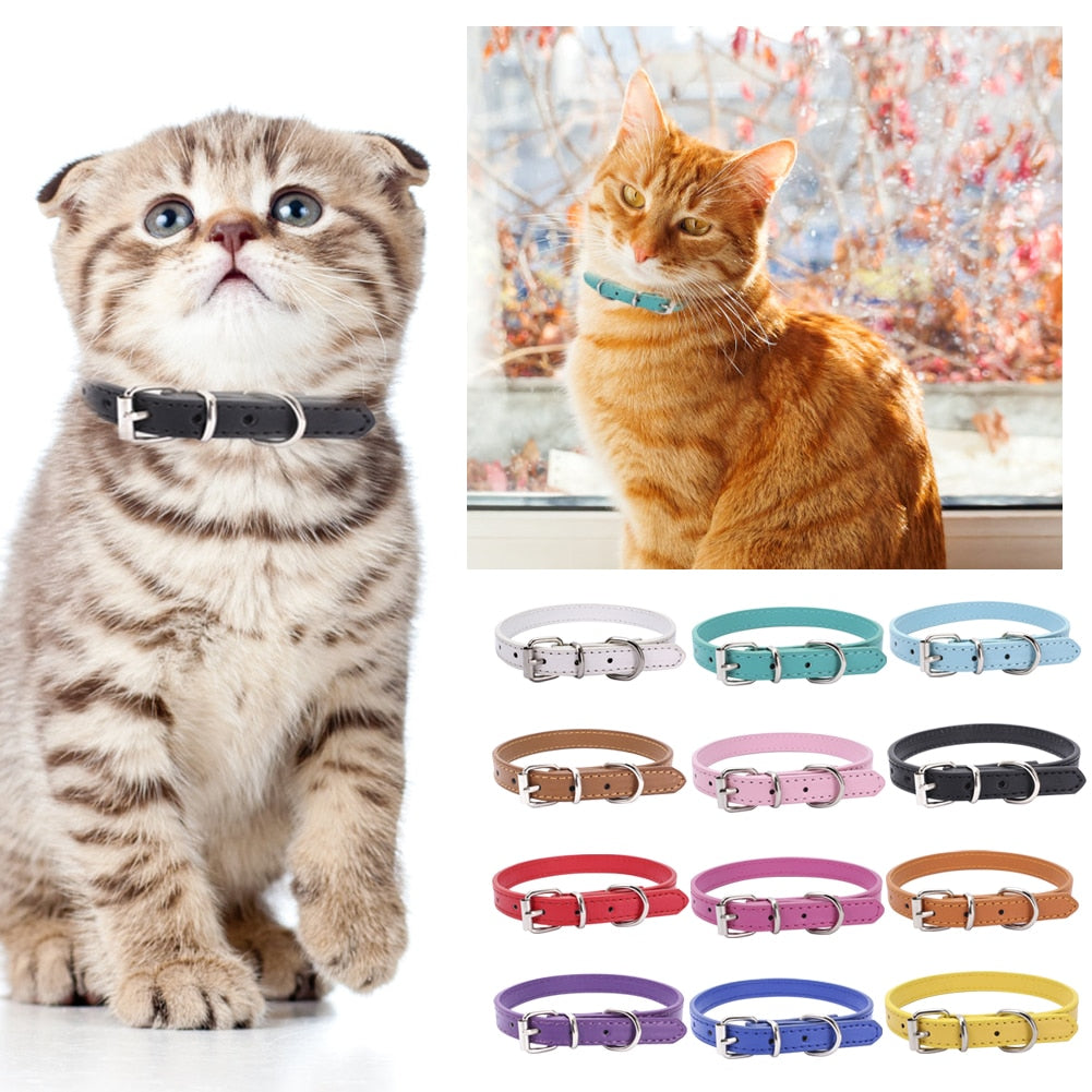Durable Cat Collars