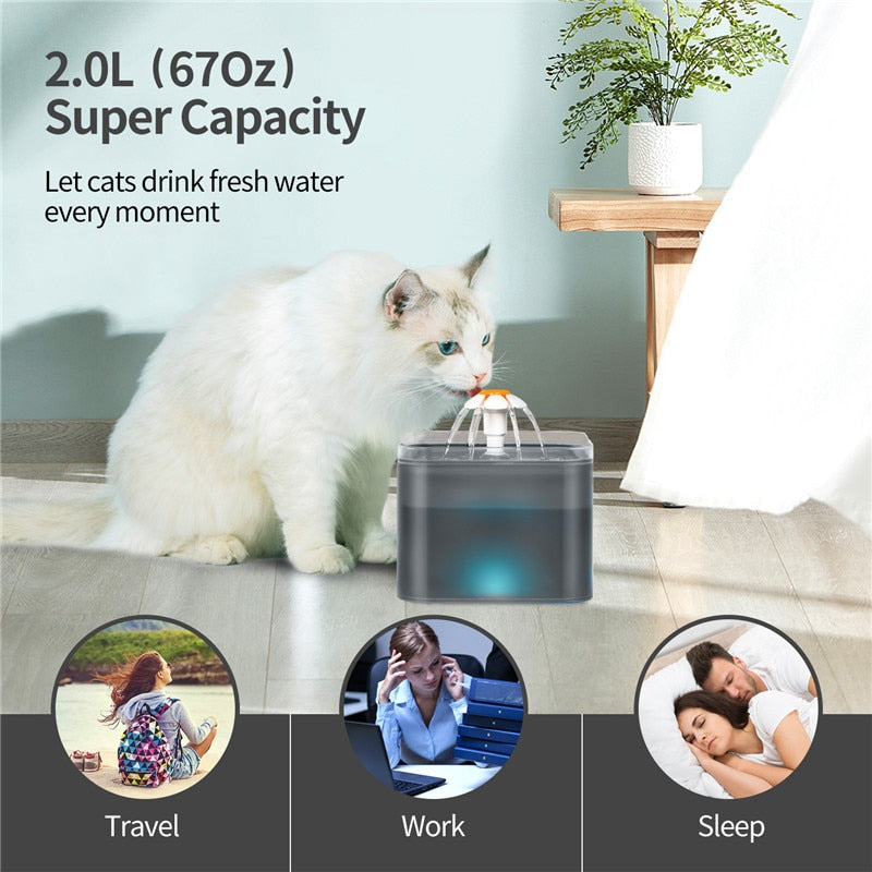 Electronic Cat Food Dispenser