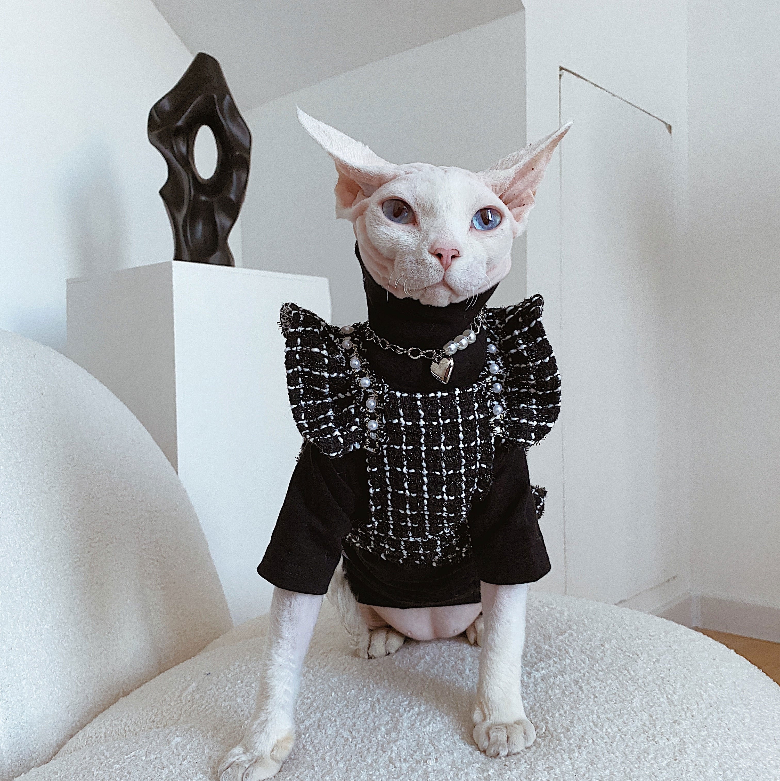 Elegant Black Clothes for Cats