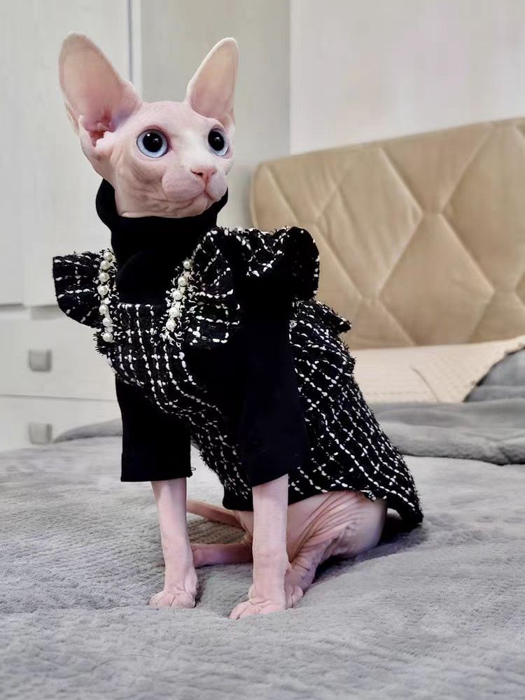 Elegant Black Clothes for Cats