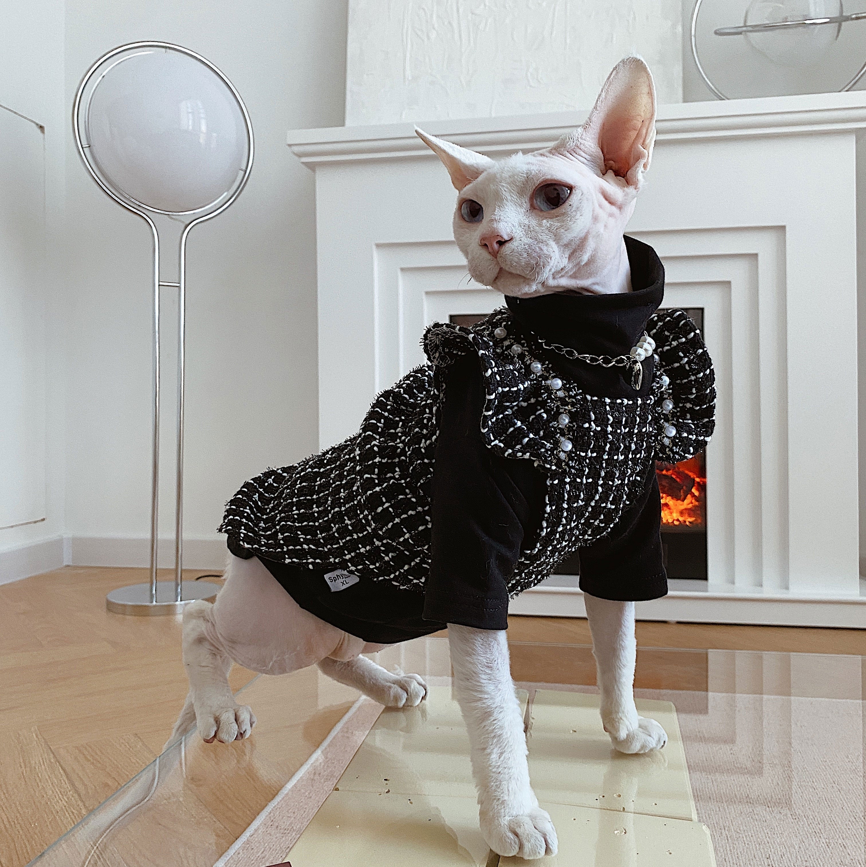 Elegant Black Clothes for Cats