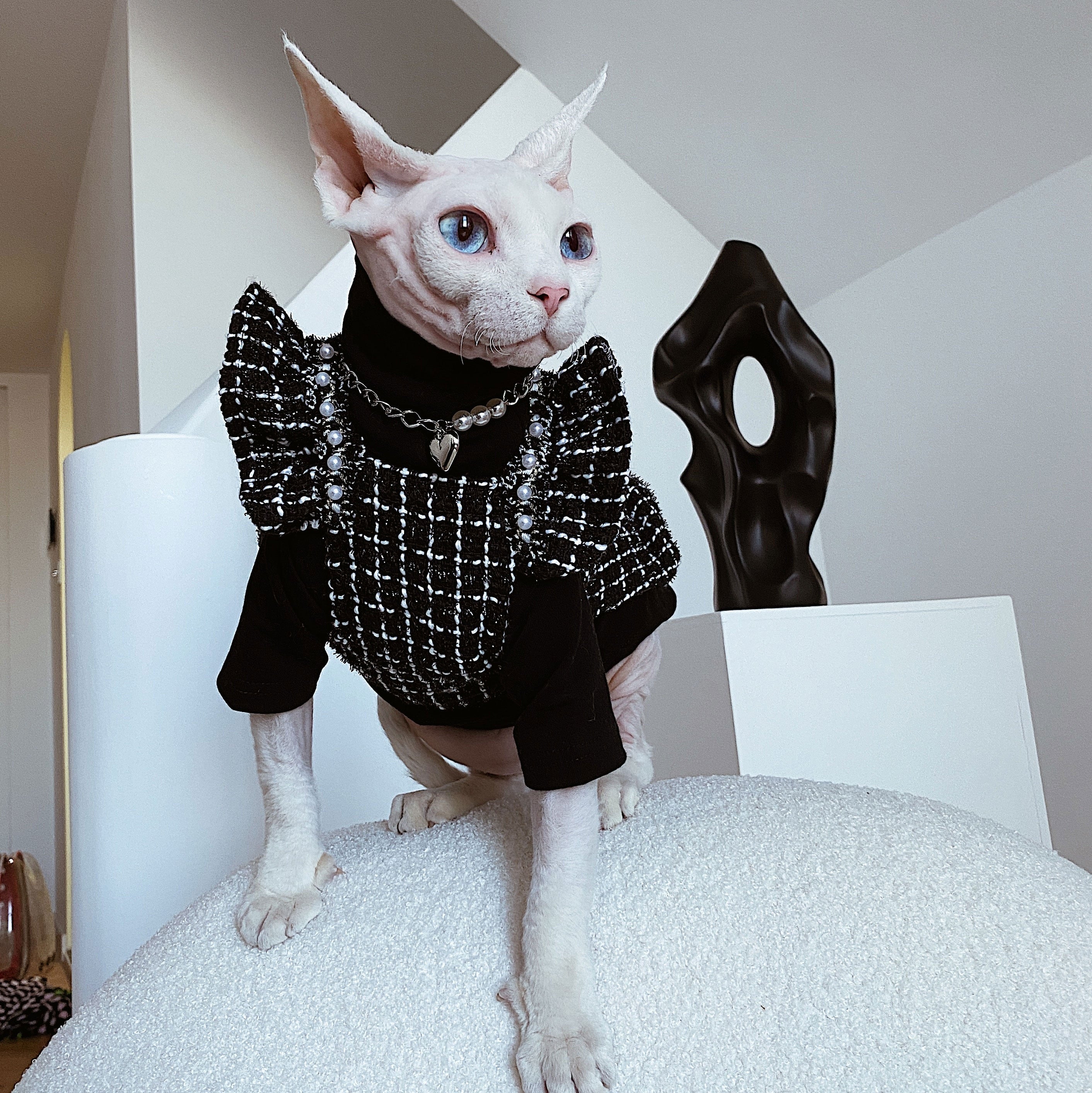 Elegant Black Clothes for Cats