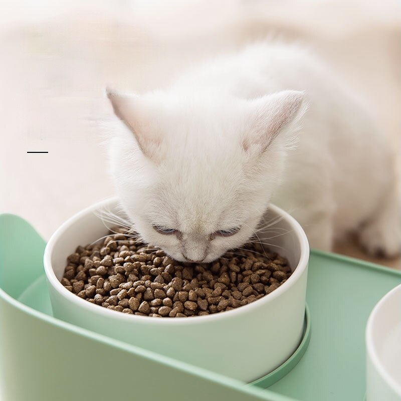 Elegant Cat Bowl
