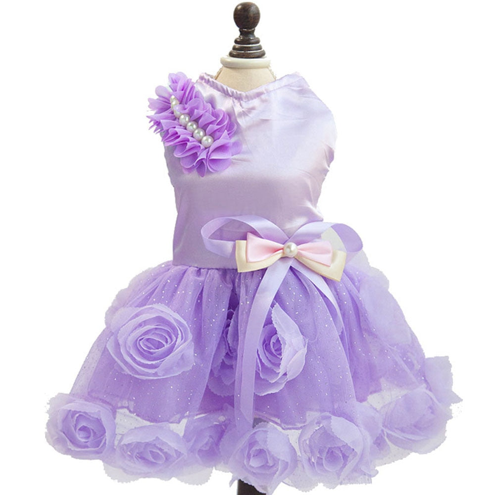 Elegant Cat Dress