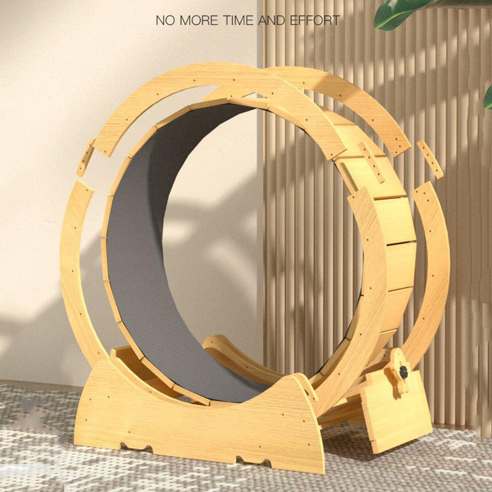 Exercise Wheel for cats