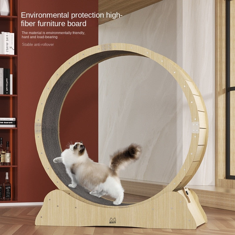 Exercise Wheel for cats