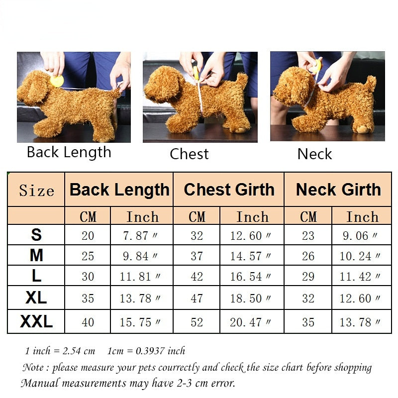 Fashion Cat Clothes