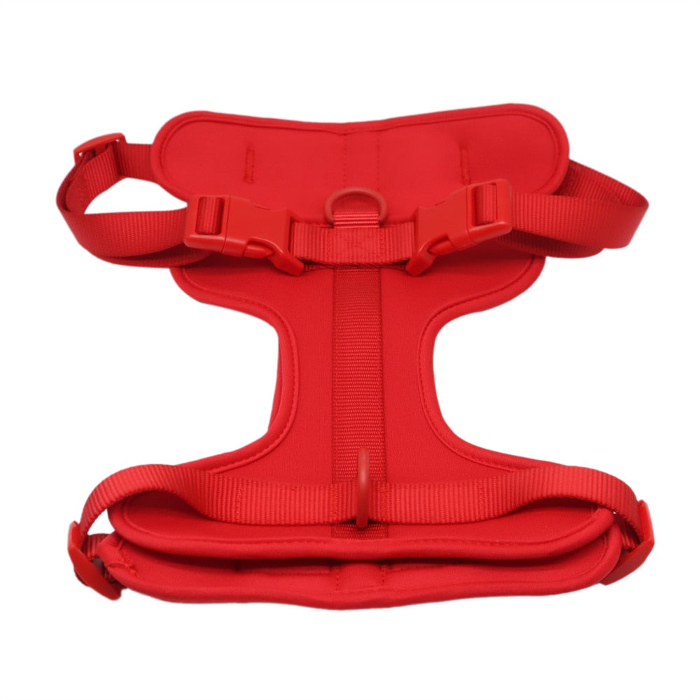 Fat Cat Harness