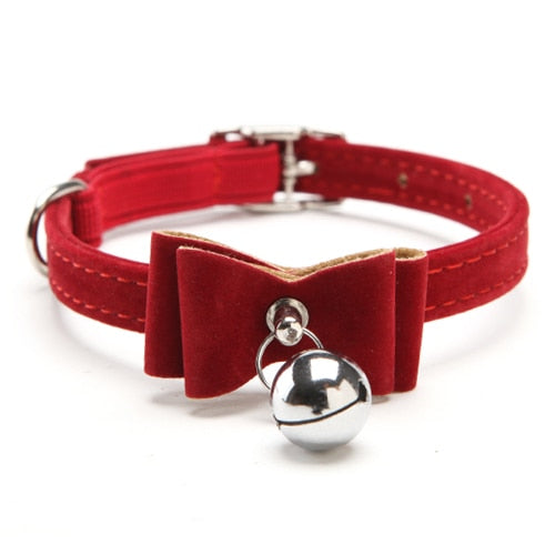 Female Cat Collars