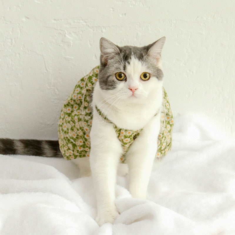 Floral Cat Clothes