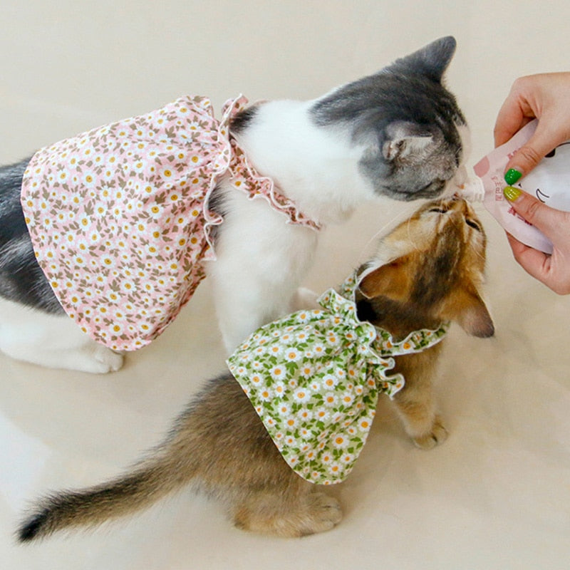Floral Cat Clothes