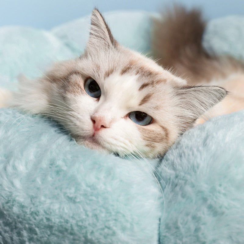 Flower Cat Bed