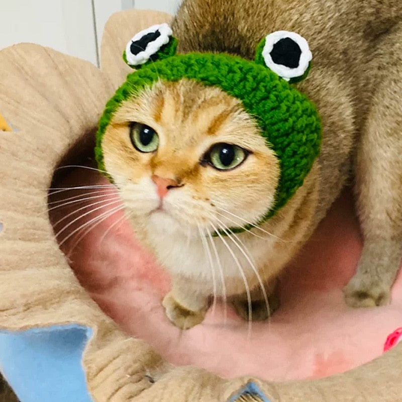Frog Costume for Cat
