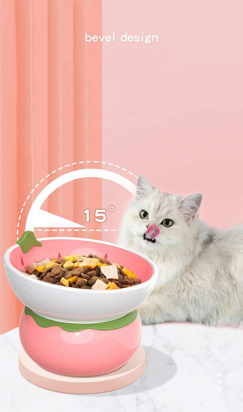 Fruit Ceramic Cat Bowl