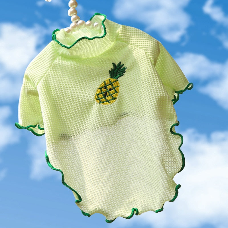 Fruit Clothes for Cats