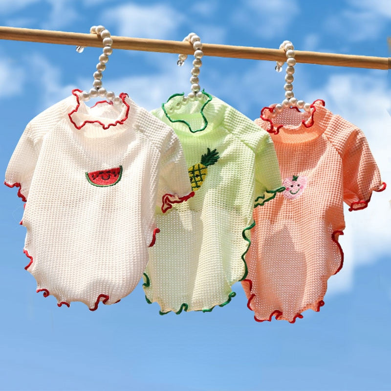 Fruit Clothes for Cats