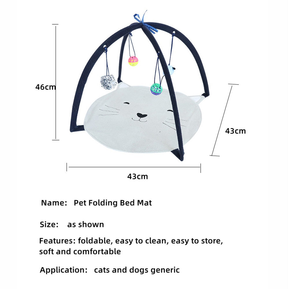 Funny Cat Bed