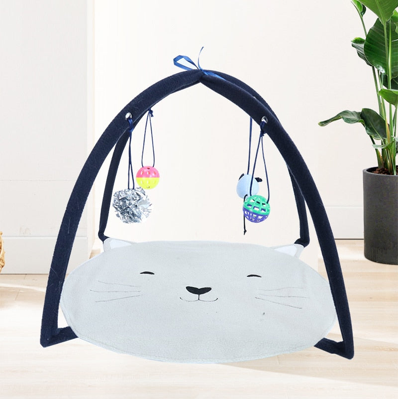 Funny Cat Bed