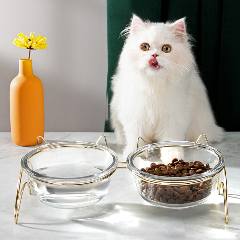 Glass Bowls for Cats