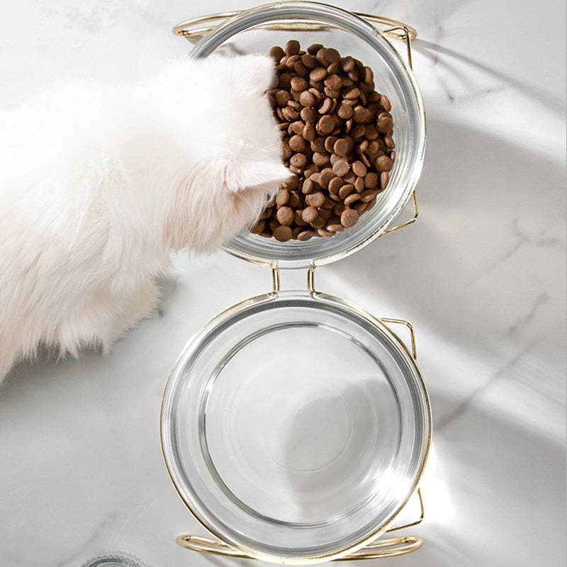 Glass Bowls for Cats