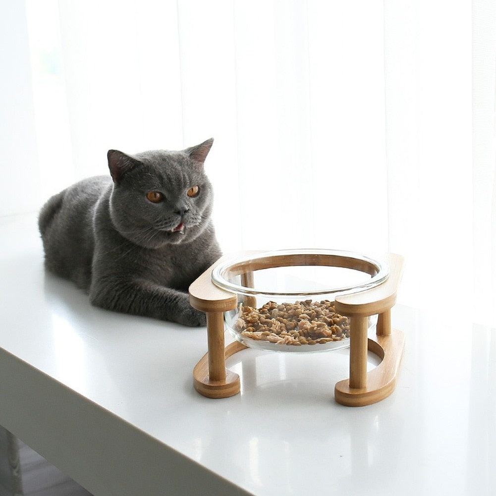 Glass Cat Bowls
