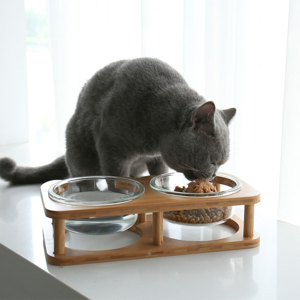 Glass Cat Bowls