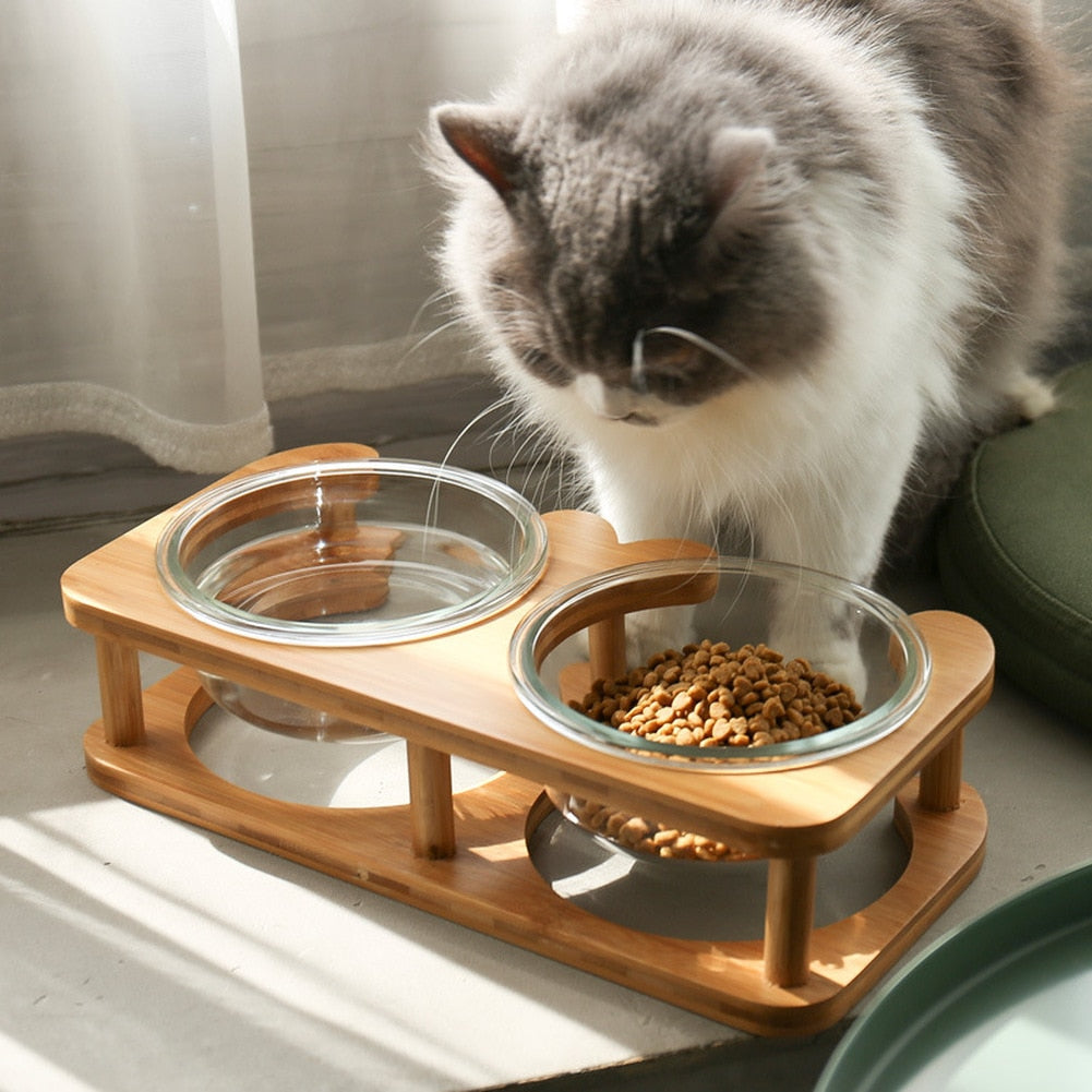 Glass Cat Bowls