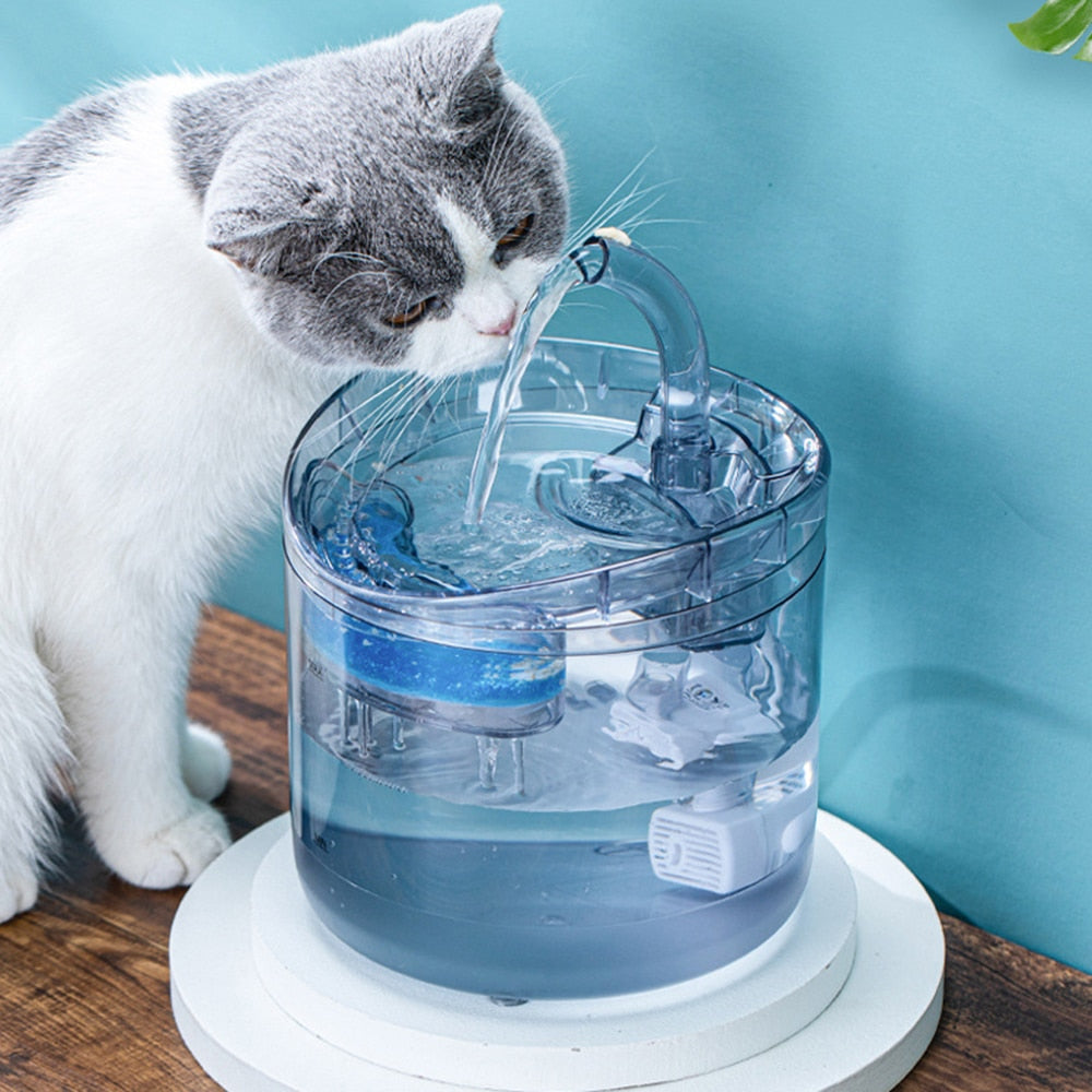 Glass Cat Water Fountain