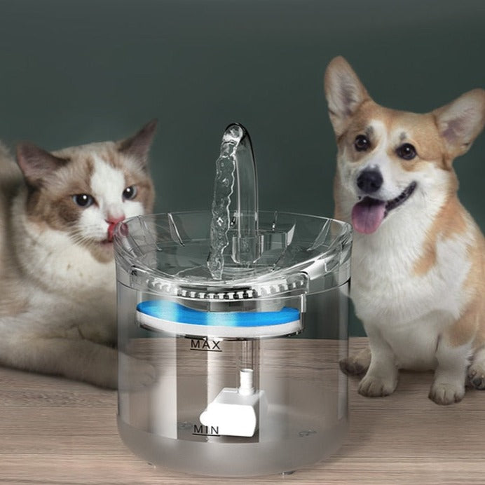 Glass Cat Water Fountain