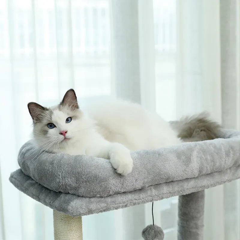 GrigioCat™ – Tiragraffi elegante grigio con amaca sospesa per gatti