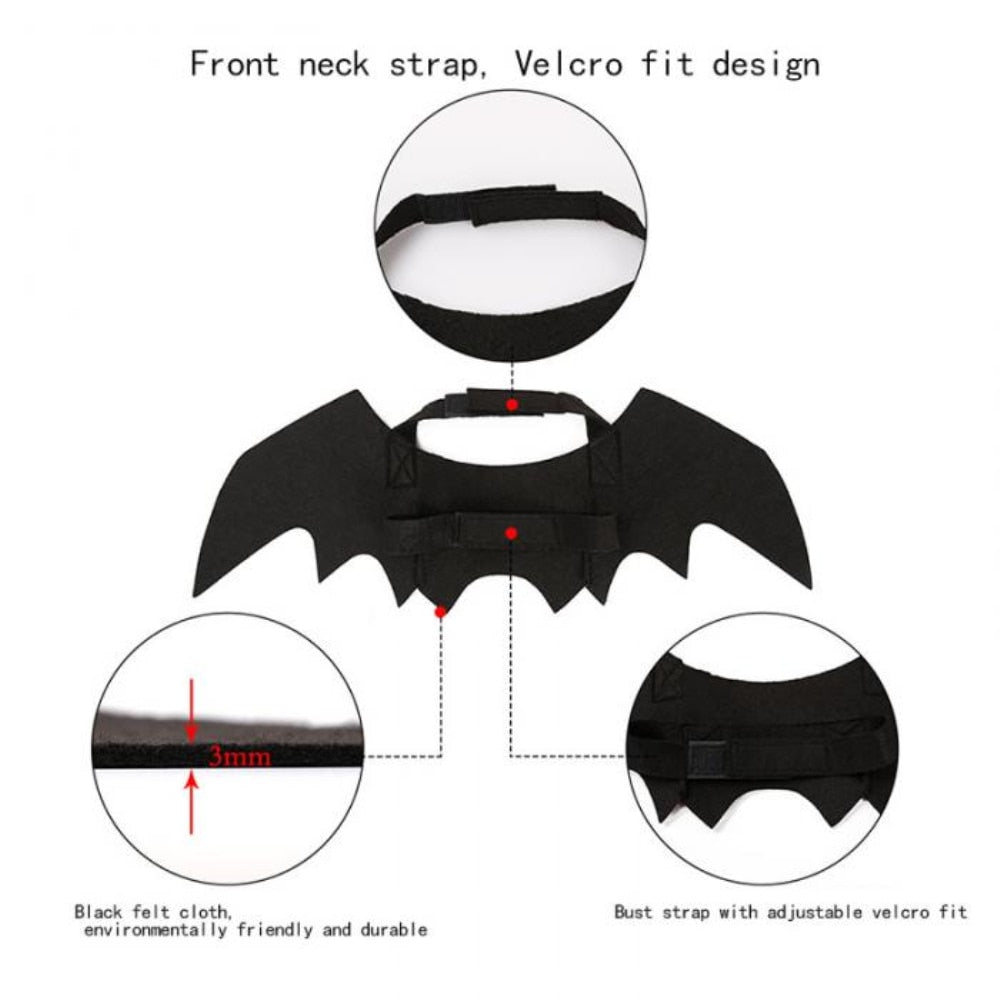 Halloween Costumes for Black Cats