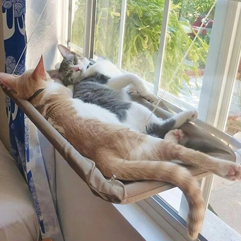 Hanging bed for Cats