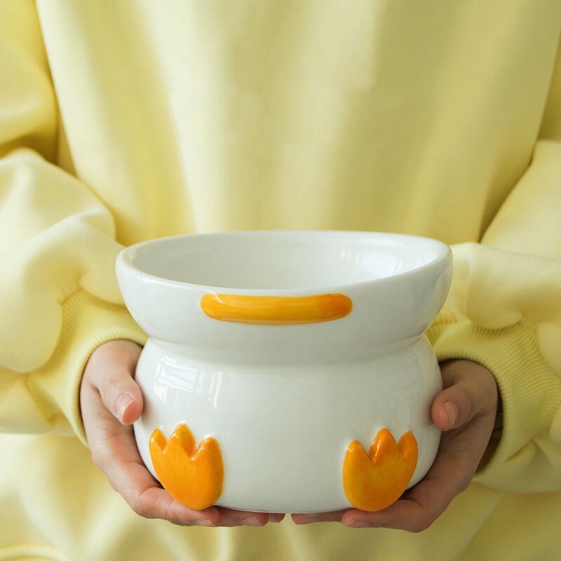 Heavy Water Bowl for Cats