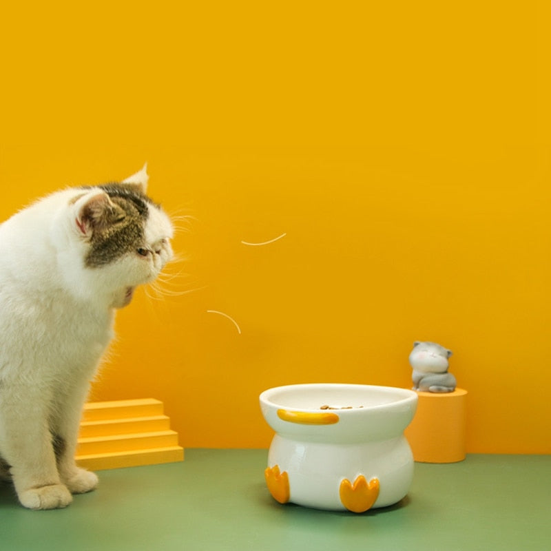 Heavy Water Bowl for Cats