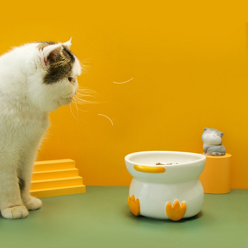 Heavy Water Bowl for Cats