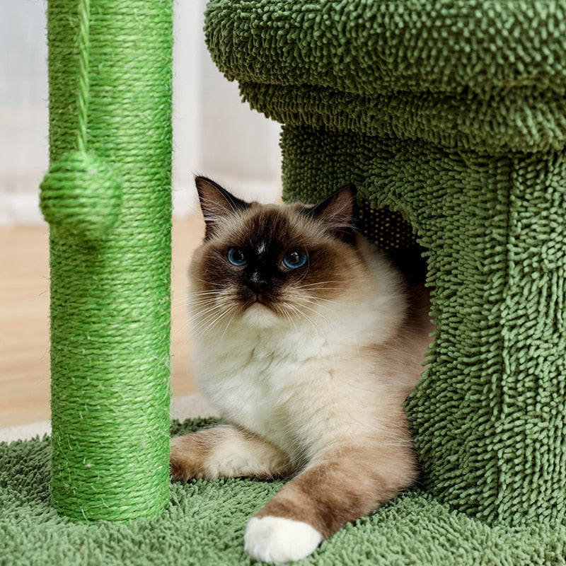 Indestructible Cat Scratching Post